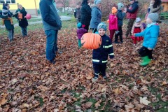 IMG_20231107_161229